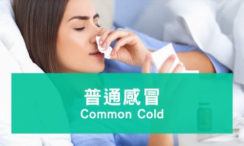 发烧期间洗头发吗网 - 网站提供发烧期间洗头发吗会怎么样小常识、发烧期间洗头发吗有影响吗