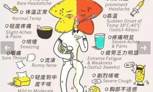 发烧期间洗头发吗网 - 网站提供发烧期间洗头发吗会怎么样小常识、发烧期间洗头发吗有影响吗