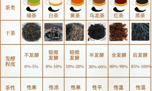 发烧洗头发会加重病情吗-发烧期间洗头发吗网 - 网站提供发烧期间洗头发吗会怎么样小常识、发烧期间洗头发吗有影响吗