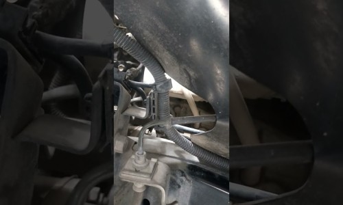 发烧能不能洗个头-发烧期间洗头发吗网 - 网站提供发烧期间洗头发吗会怎么样小常识、发烧期间洗头发吗有影响吗